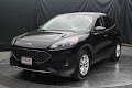 2021 Ford Escape Hybrid SE